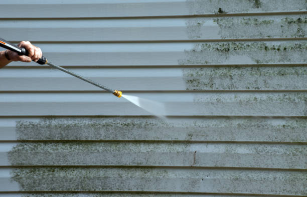 Best Roof Pressure Washing  in Coats Bend, AL